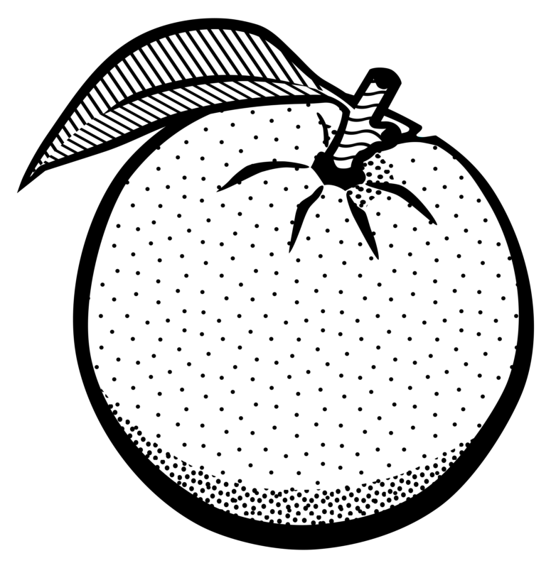 orange clipart black and white