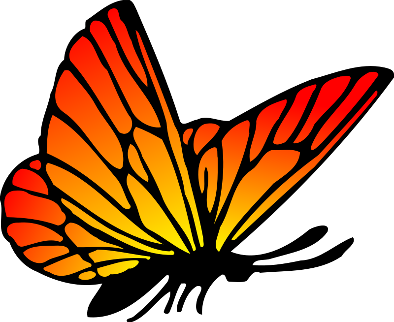 orange clipart butterfly