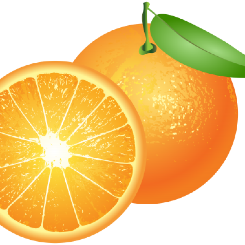 oranges clipart computer