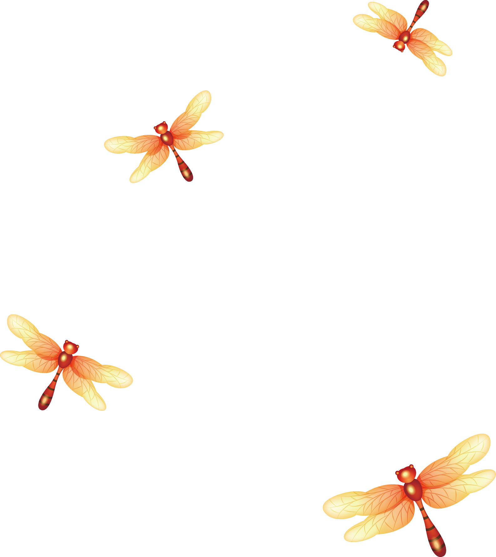 orange clipart dragonfly