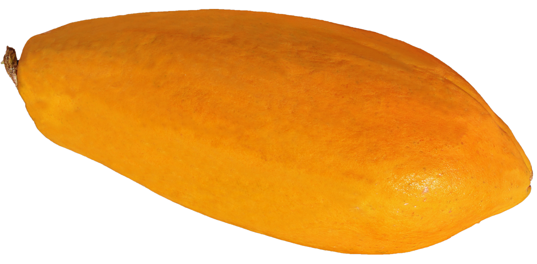 orange clipart papaya