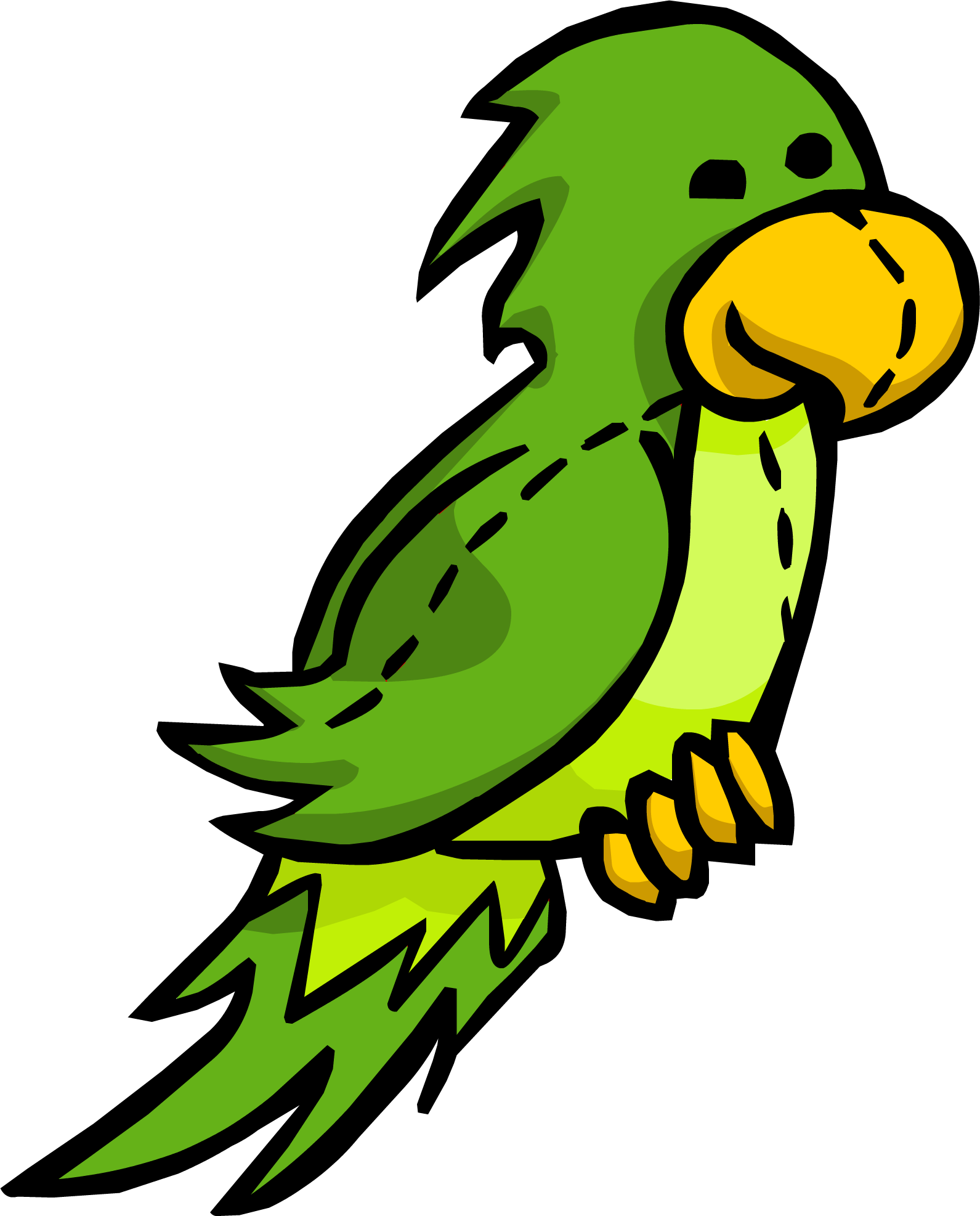 Parrot green parrot