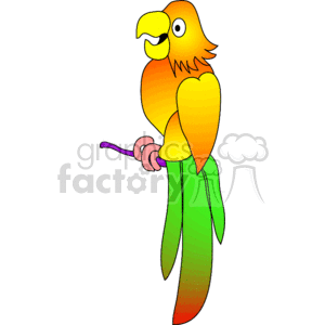 Parrot clipart parrot feather. Cartoon with orange green