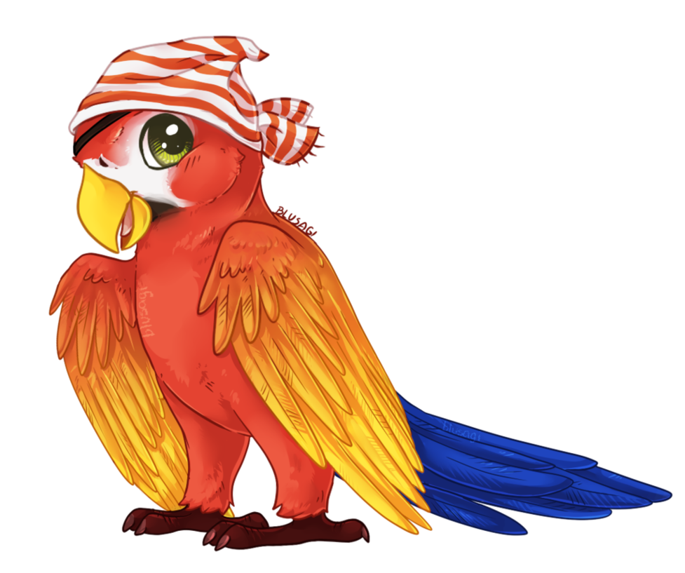 orange clipart parrot