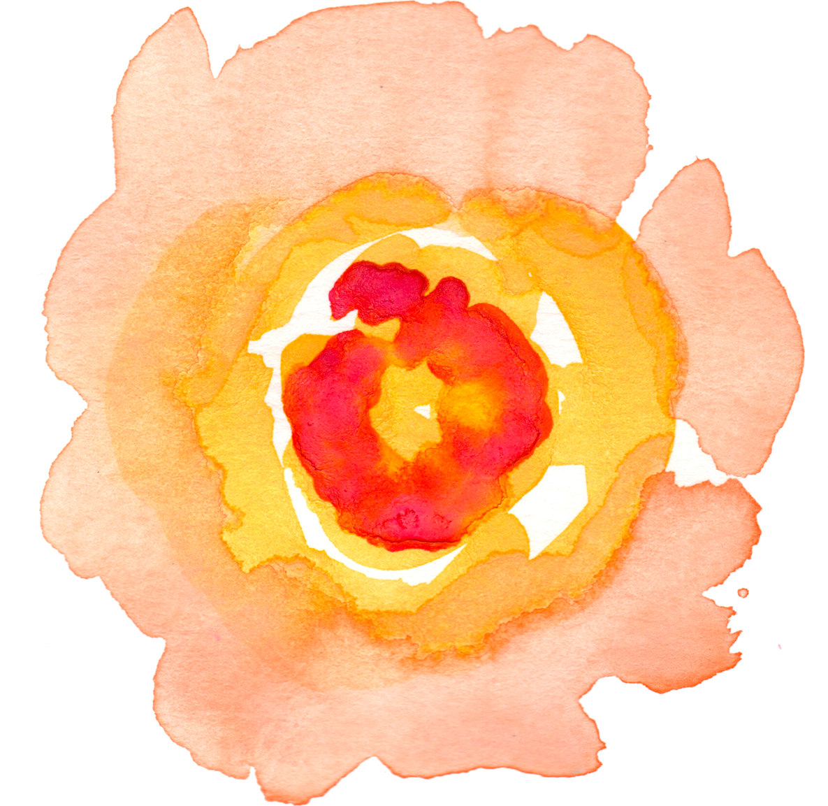 orange clipart watercolor