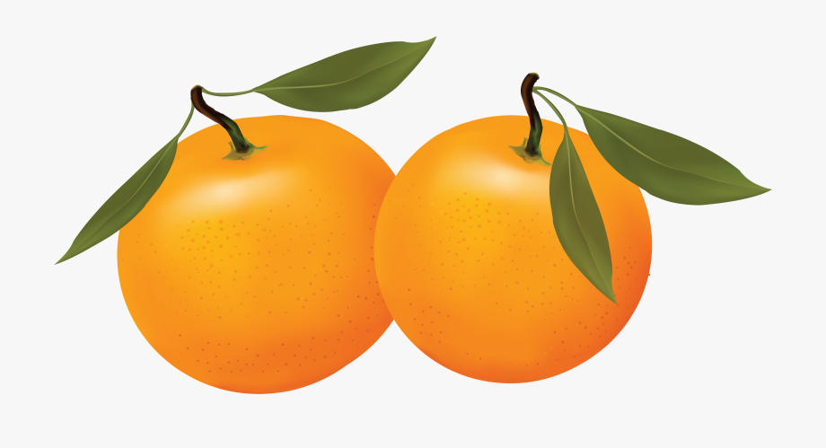 orange clipart orange fruit