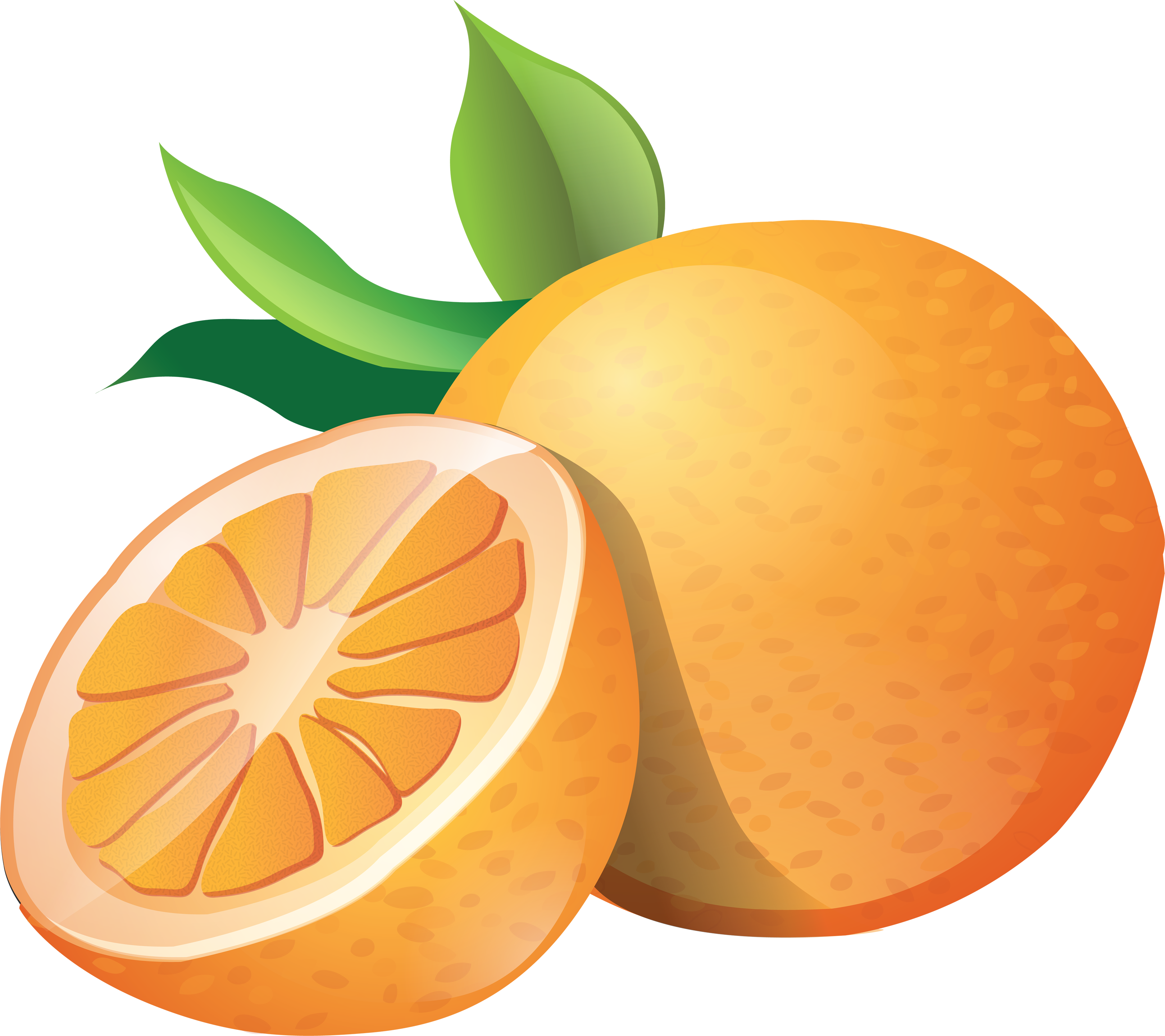Clipart fruit orange. Free cliparts download clip
