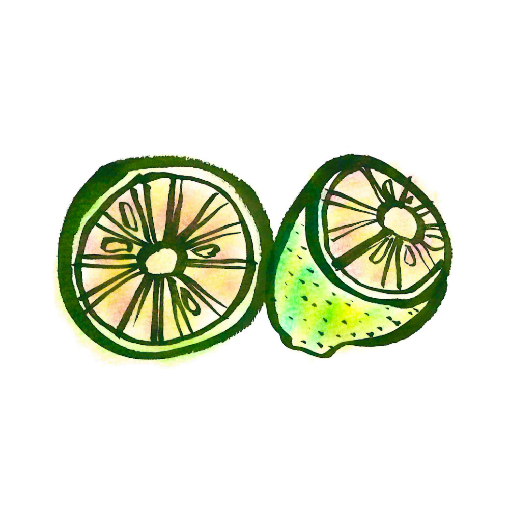 Oranges clipart bike. Our fruits kannonyama fruit
