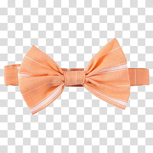 oranges clipart bow tie