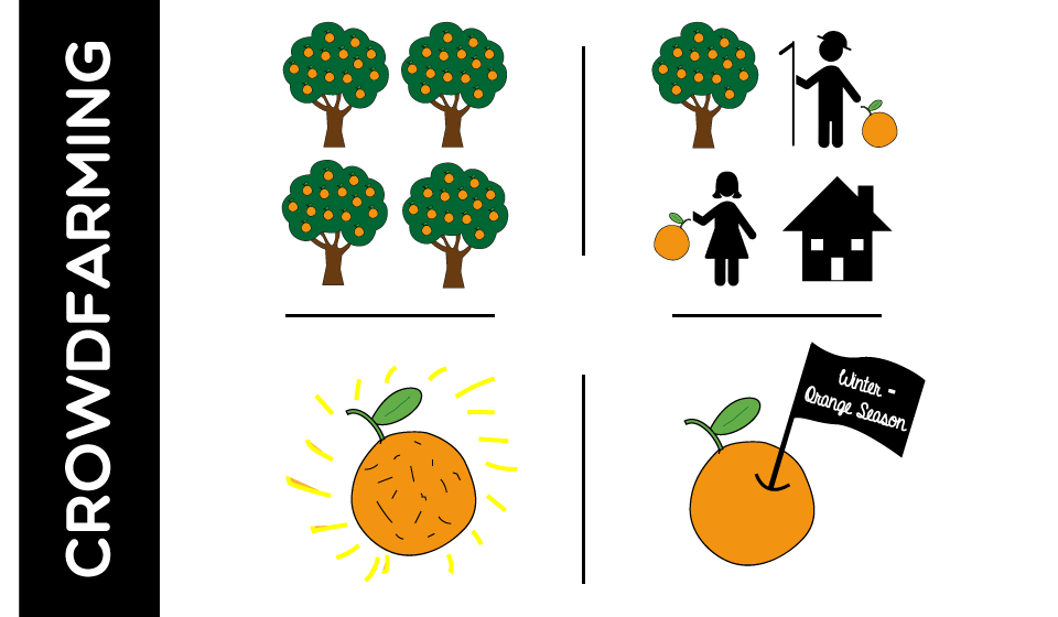 oranges clipart calendar