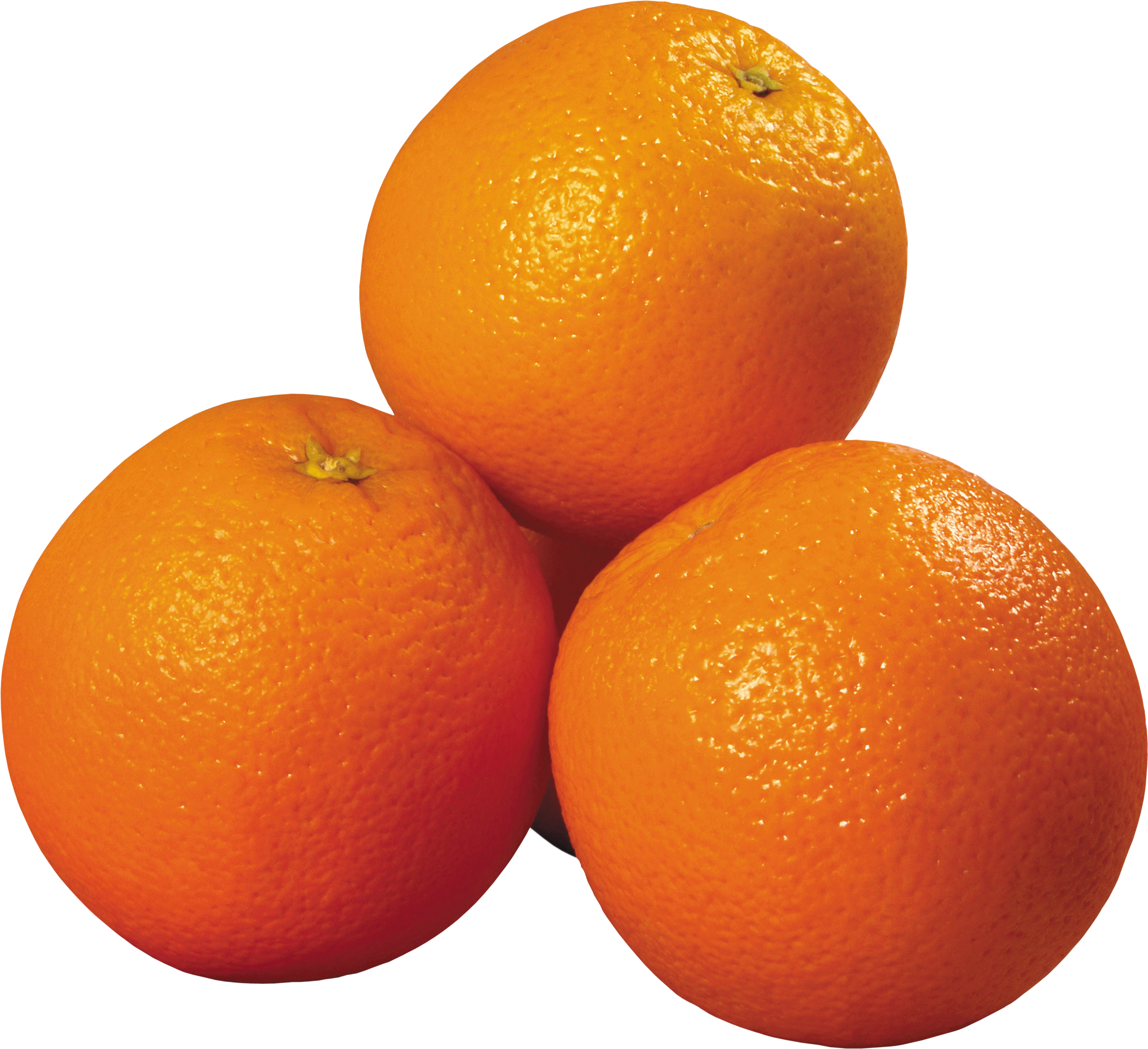 oranges clipart camera