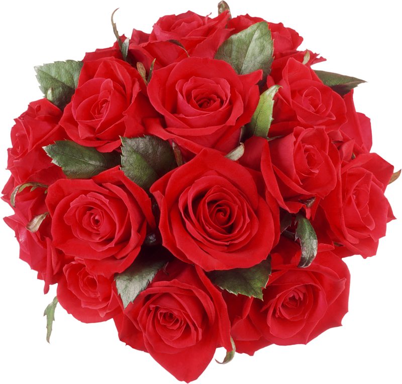 Red roses bouquet png. Oranges clipart cheerleading