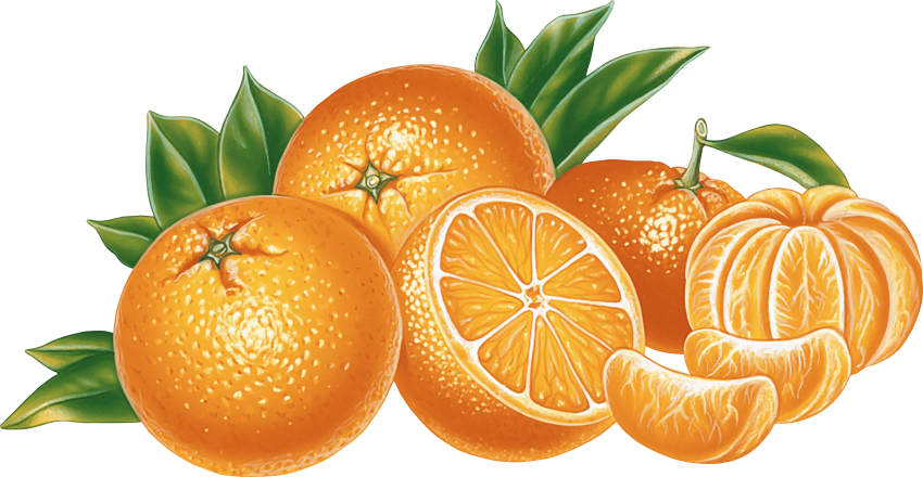 Orange and mandarin png. Oranges clipart easter egg