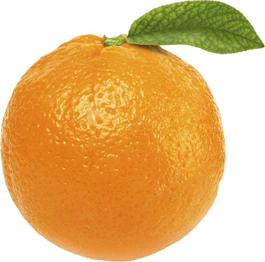 oranges clipart easter egg