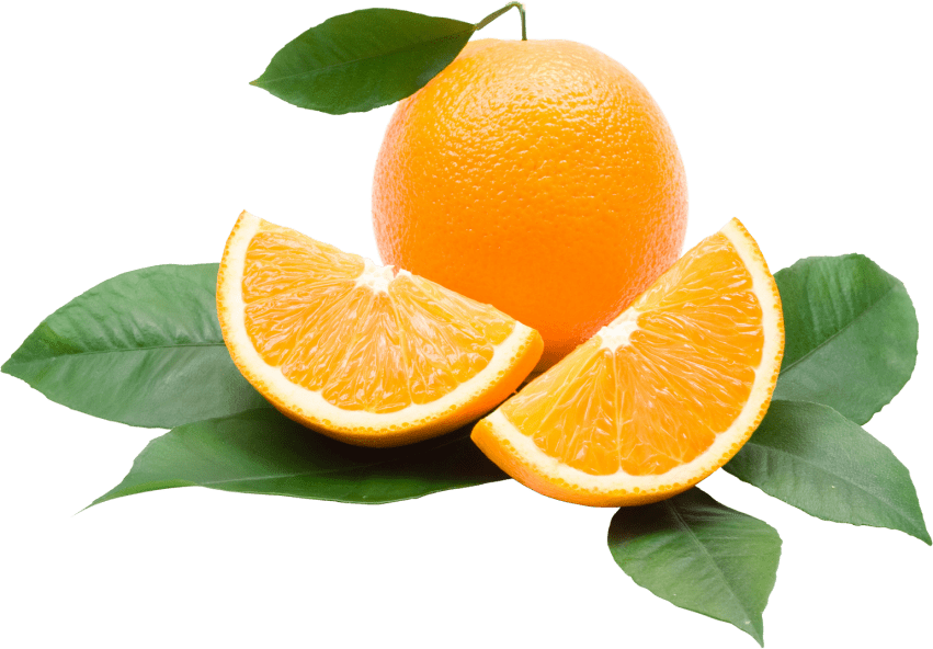 oranges clipart easter egg