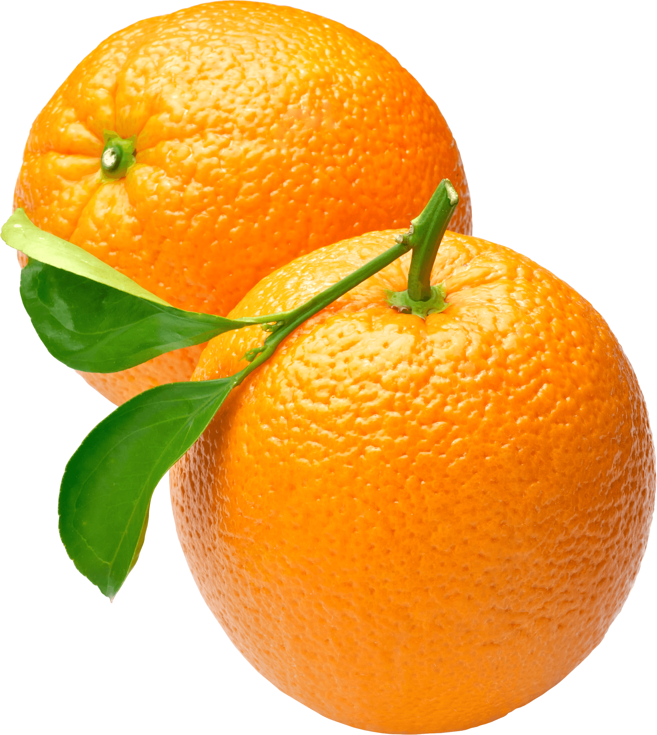 Two transparent png stickpng. Oranges clipart email