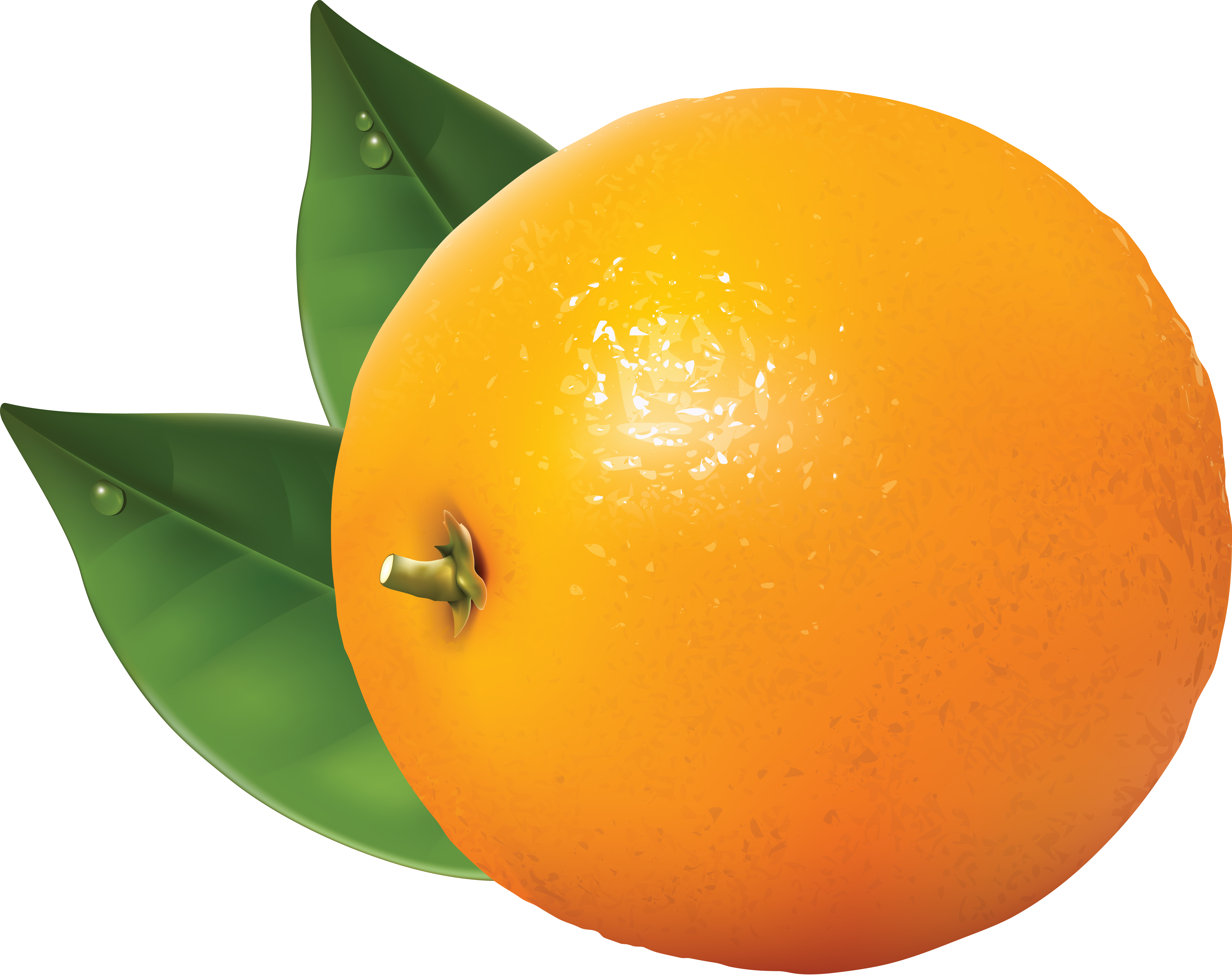 oranges clipart foods