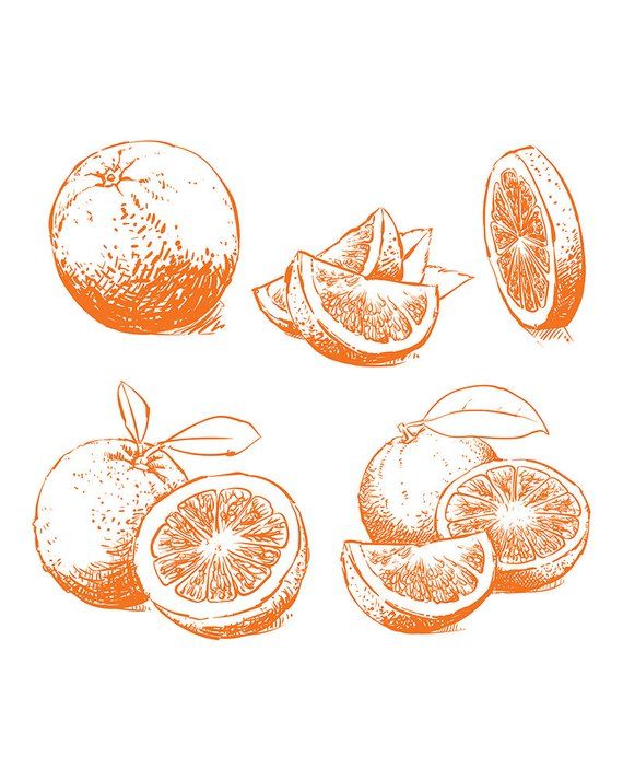 oranges clipart hands