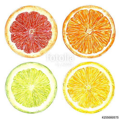 Oranges clipart hands. Grapefruit orange lemon and