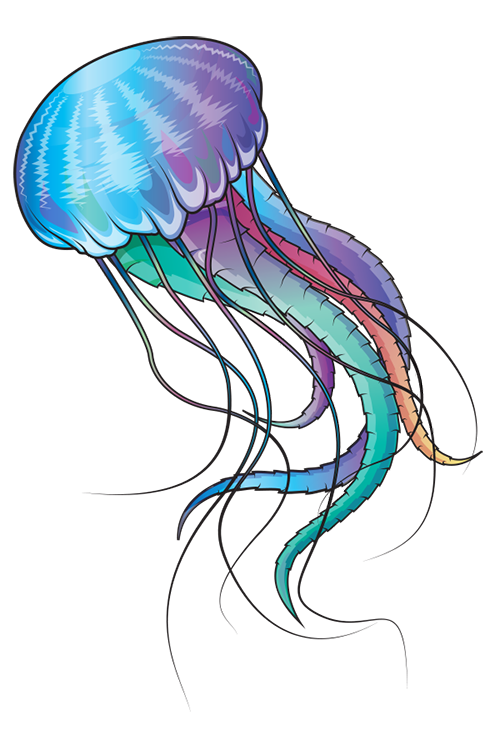 Oranges clipart jellyfish. Forgetmenot jelly fish