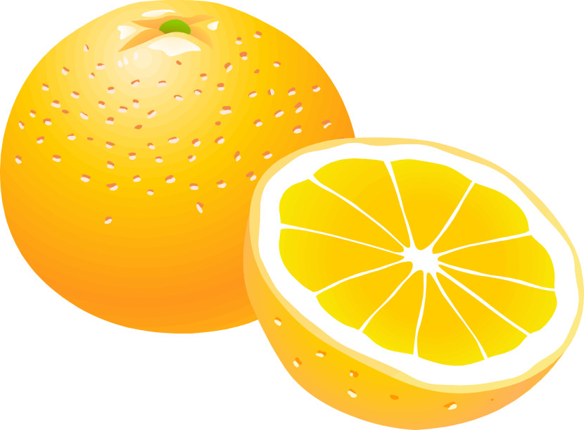 oranges clipart kid