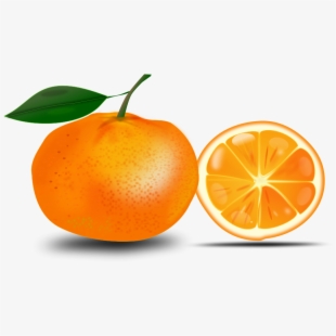 oranges clipart laptop