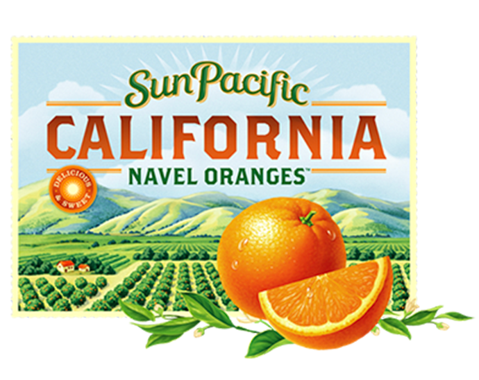 oranges clipart marketing