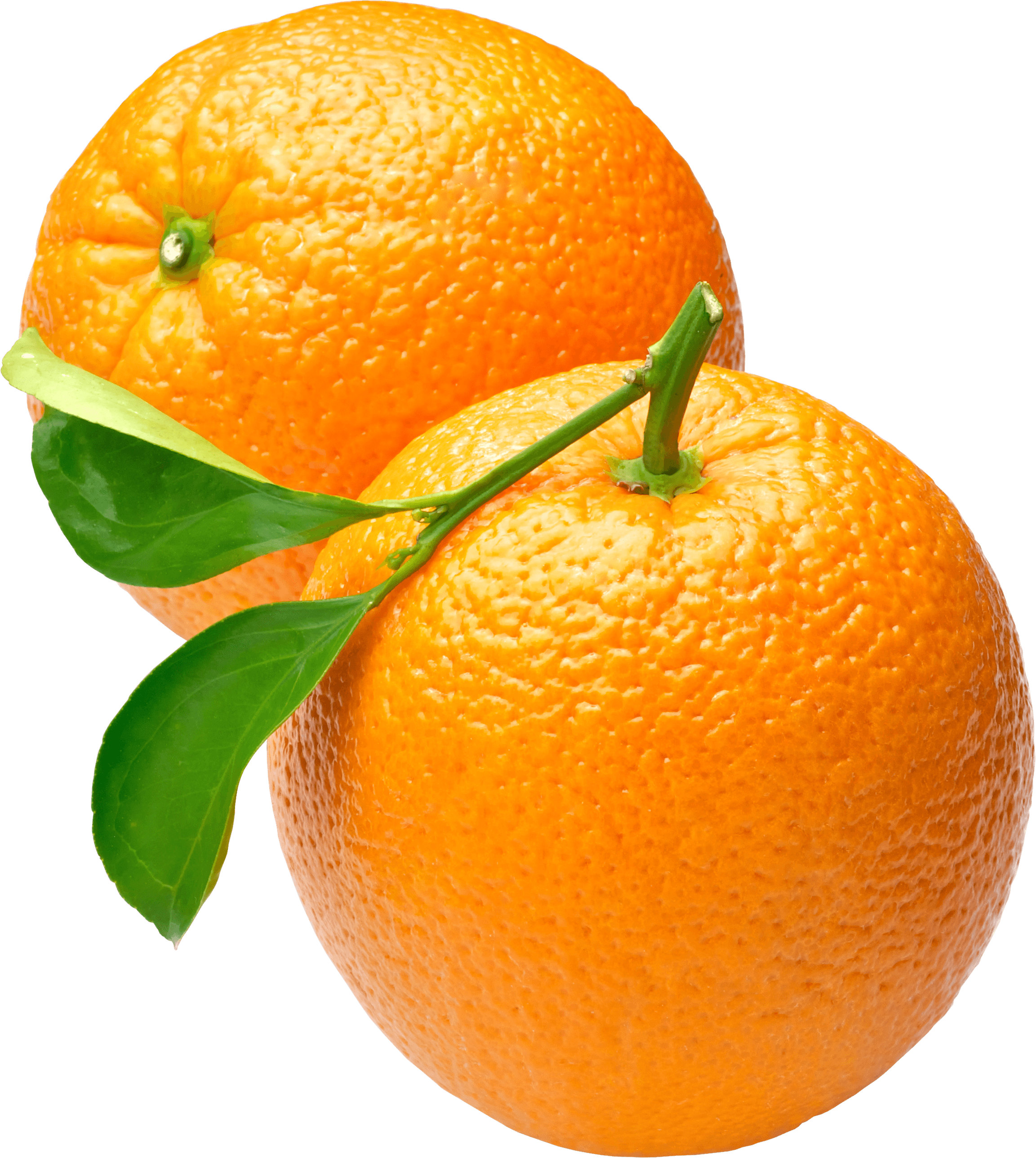 oranges clipart motorcycle