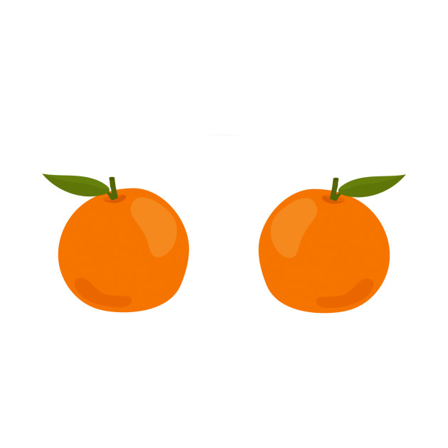 oranges clipart onesie