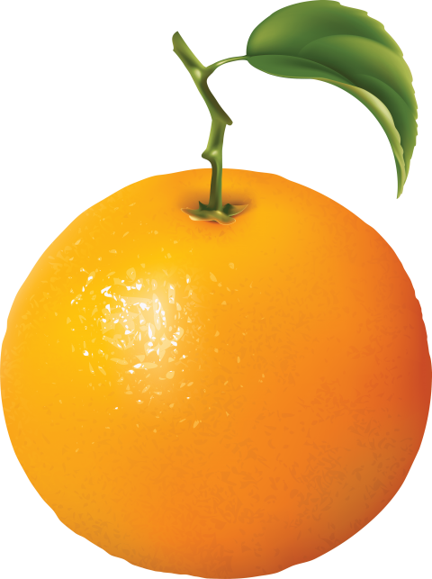 oranges clipart oragne