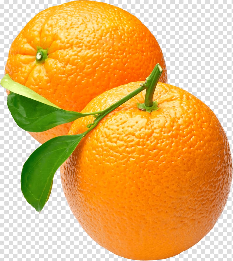 oranges clipart oragne