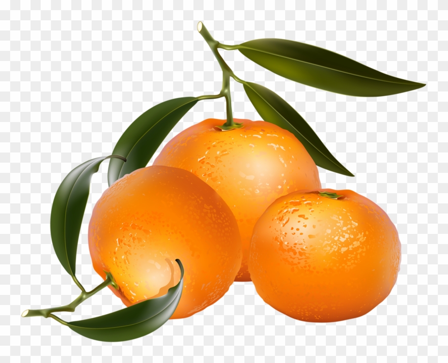 Oranges clipart  orange  fruit Oranges orange  fruit 