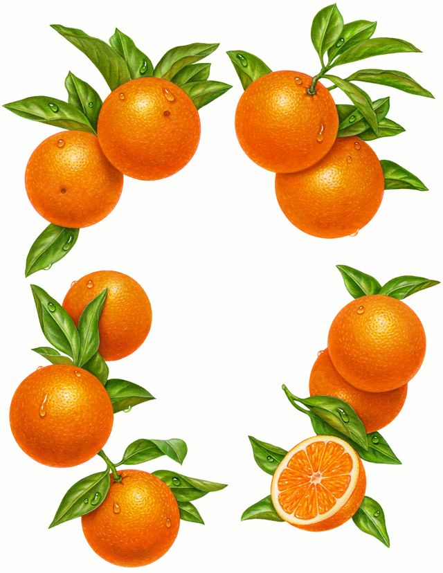 oranges clipart orange fruit