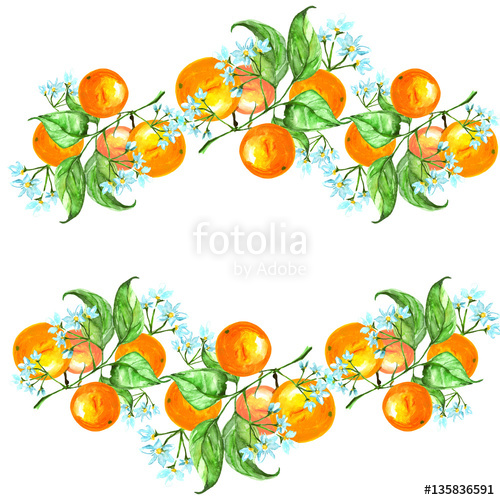 Oranges clipart ornament. Vintage border watercolor pattern