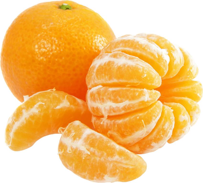 oranges clipart picture frame