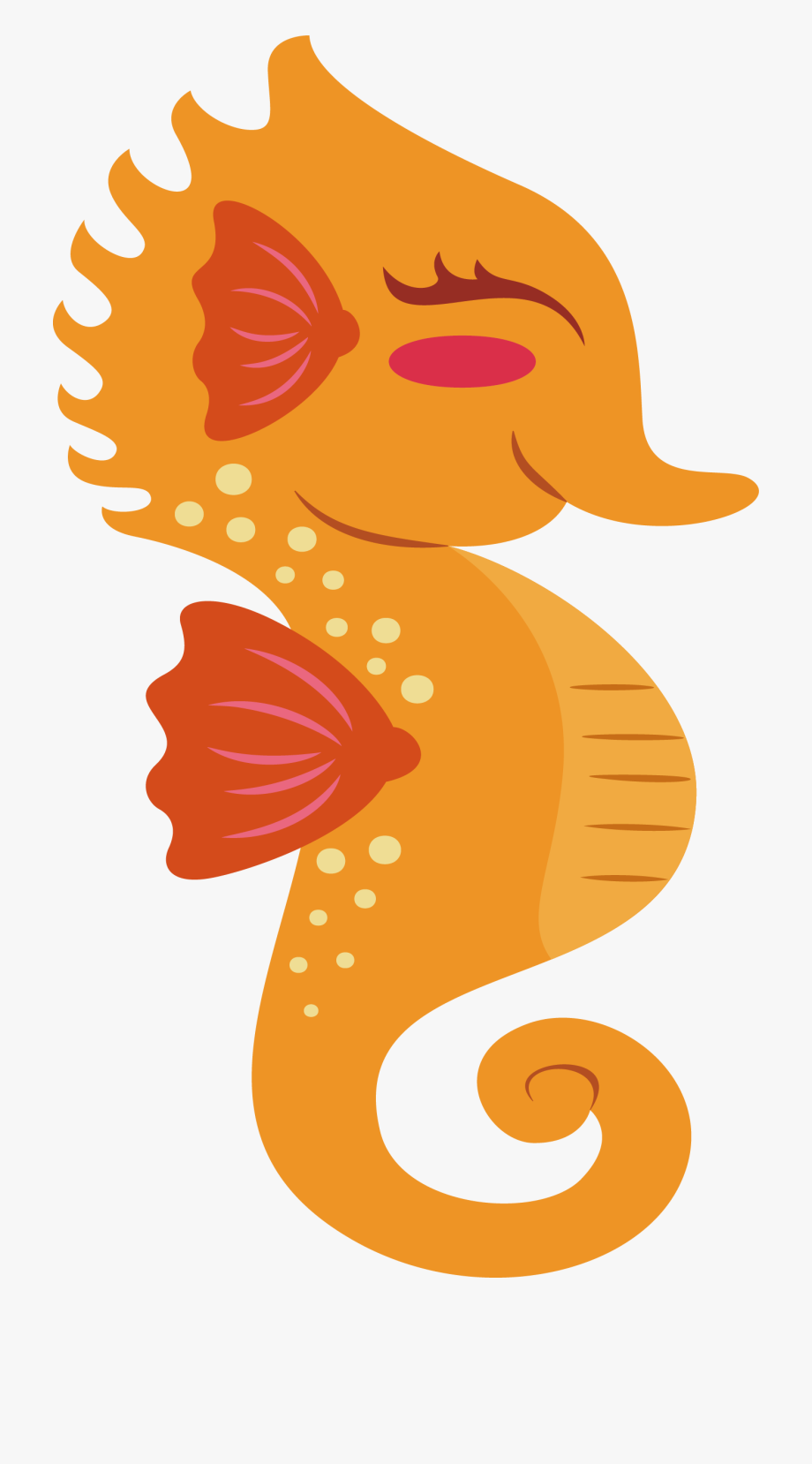 Clip free stock orange. Oranges clipart seahorse