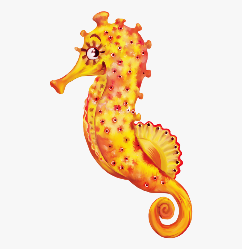 Seaside clip art cliparts. Oranges clipart seahorse