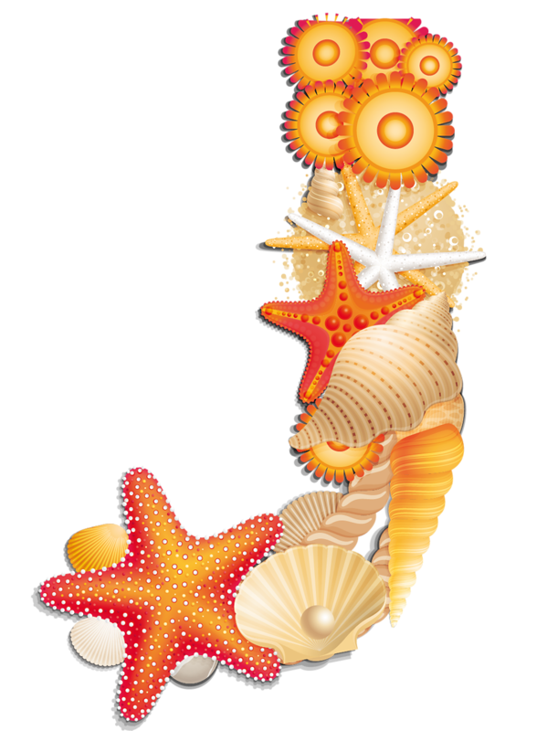 oranges clipart seahorse