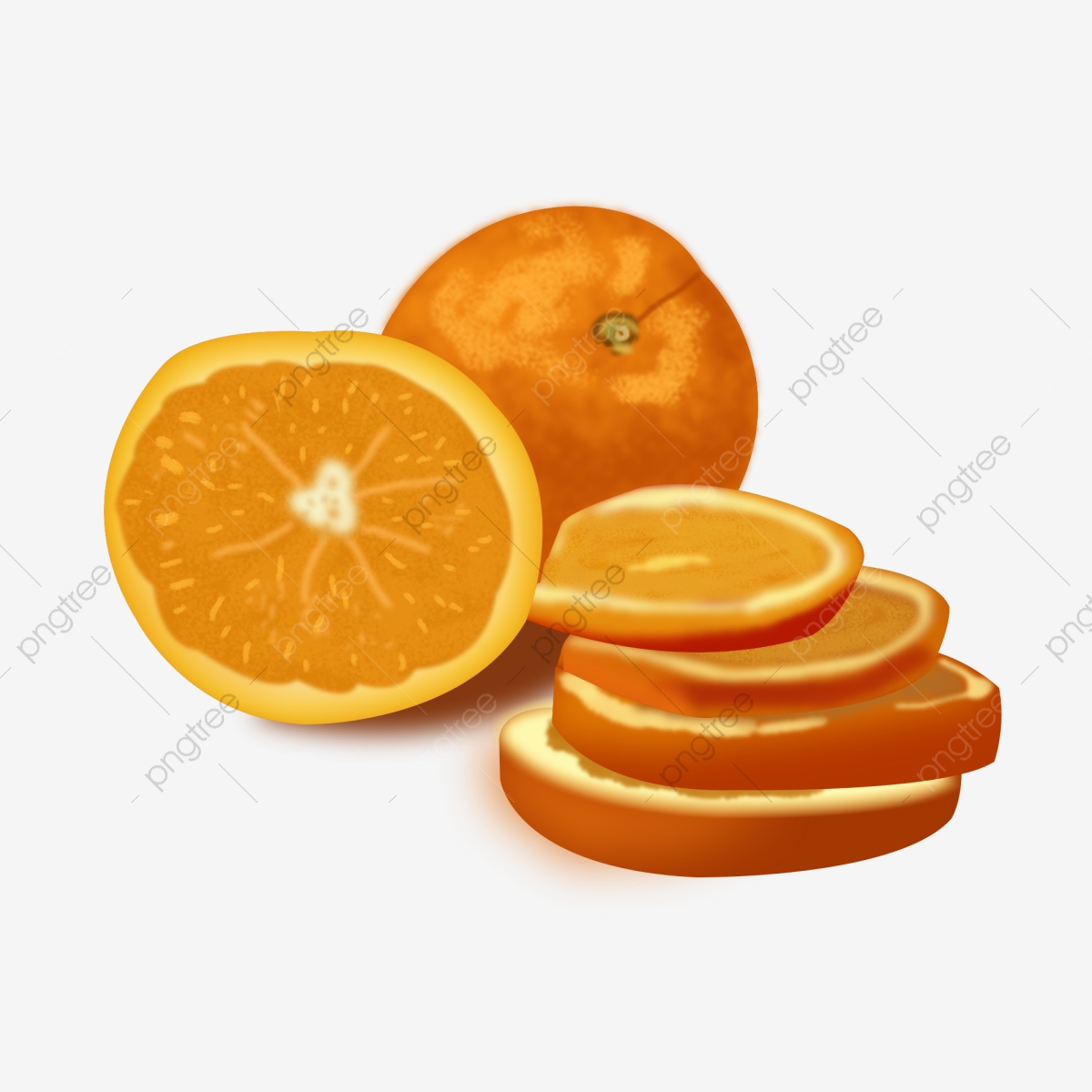 Design of the fruit. Oranges clipart summer