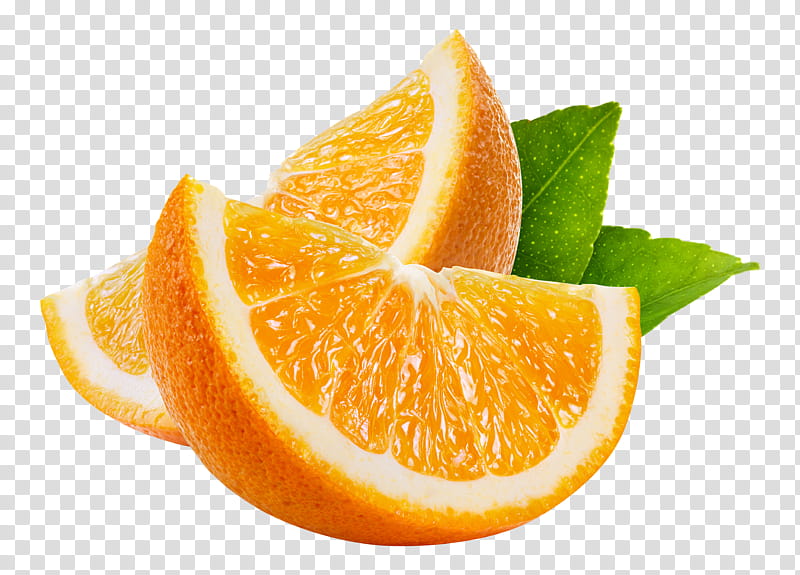 oranges clipart summer