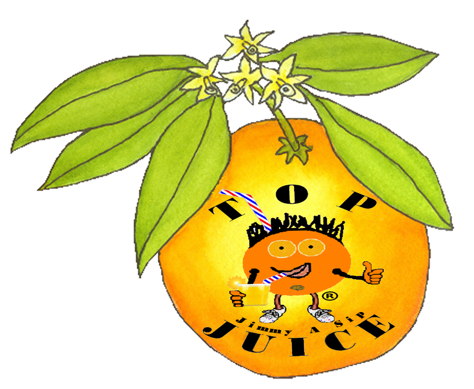 Oranges clipart sunglasses. About how are made