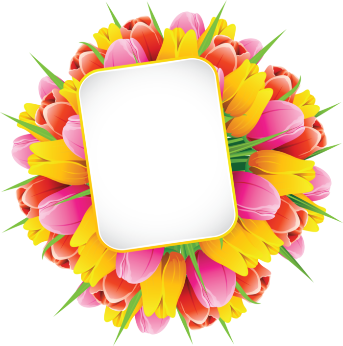 Forgetmenot flowers publicat de. Oranges clipart tulips