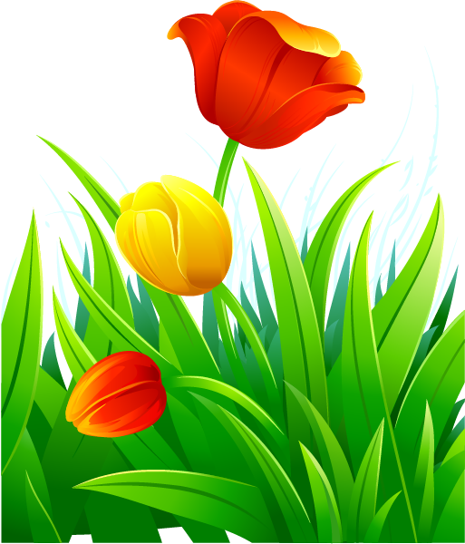 Forgetmenot flowers multicolor. Oranges clipart tulips