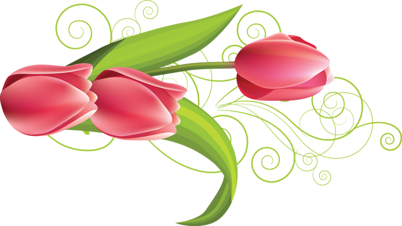 Oranges clipart tulips. Forgetmenot flowers publicat de