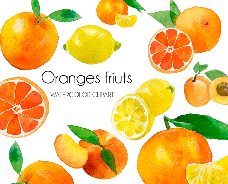oranges clipart watercolor