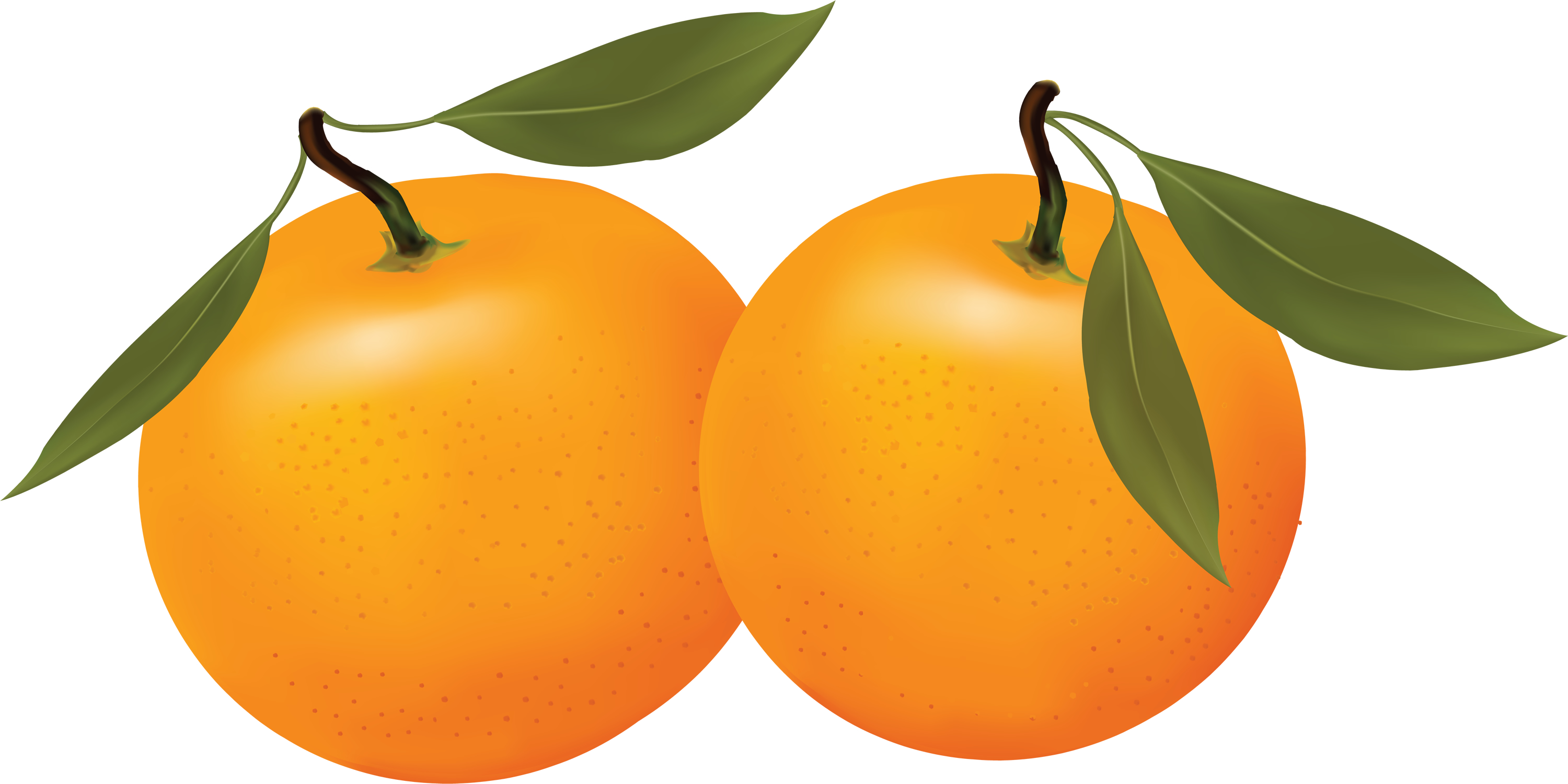 Oranges clipart. Free orange cliparts download