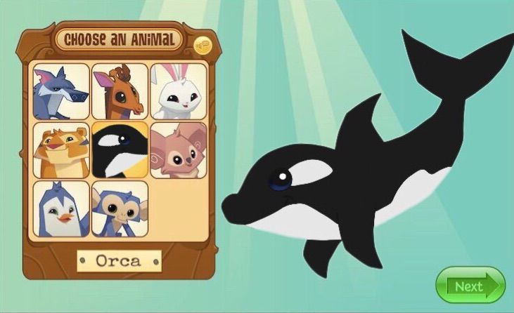 orca clipart animal jam