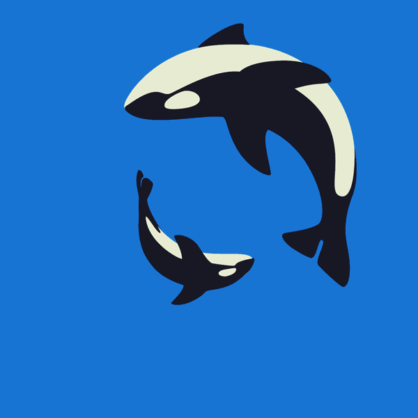 Orca clipart animation. Great animated and killer