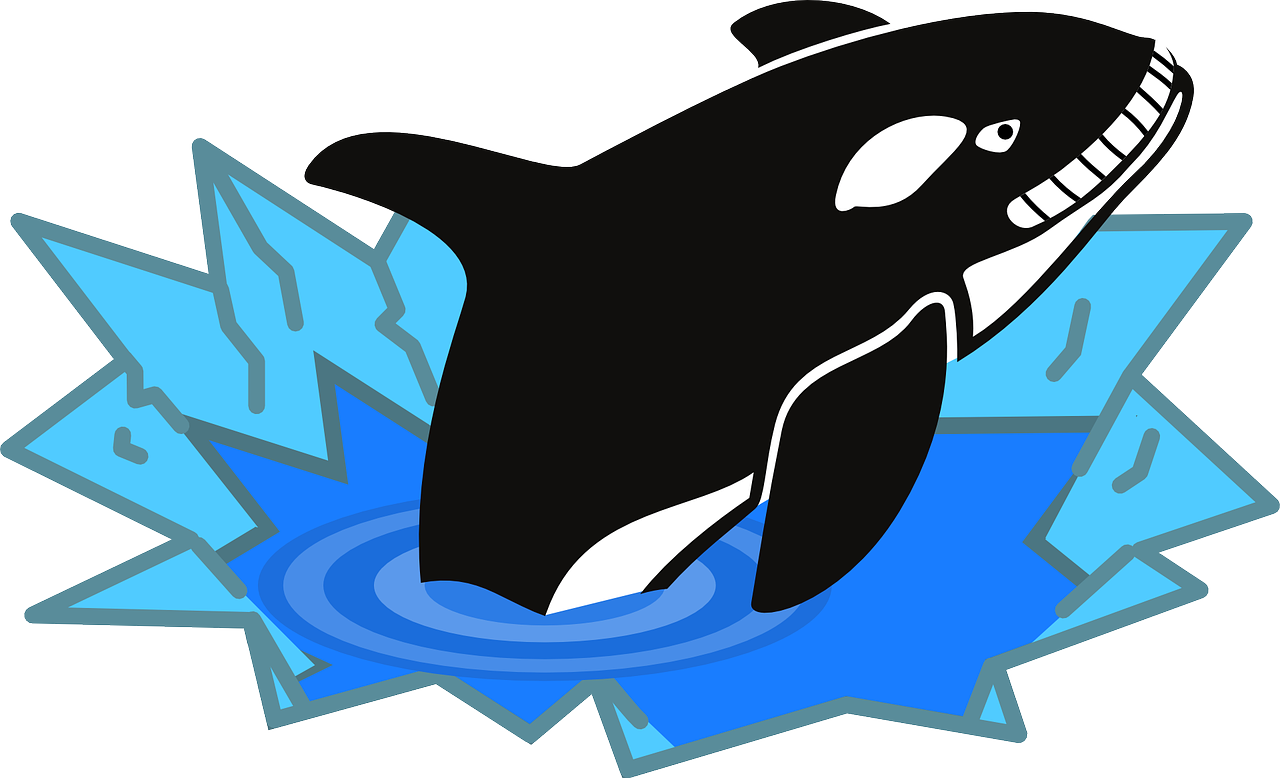 orca clipart arctic whale