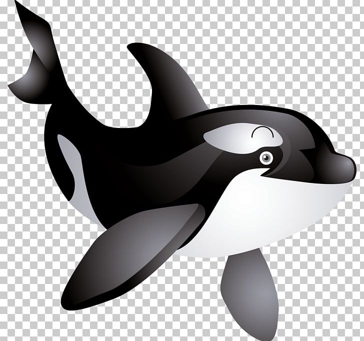 Download Orca clipart baby, Orca baby Transparent FREE for download ...